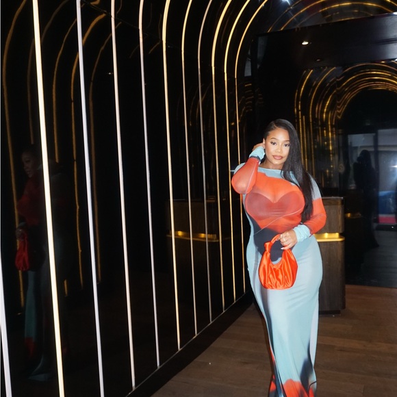 Rat&Boa Santino Multicolor Sheer Dress - Picture 3 of 4